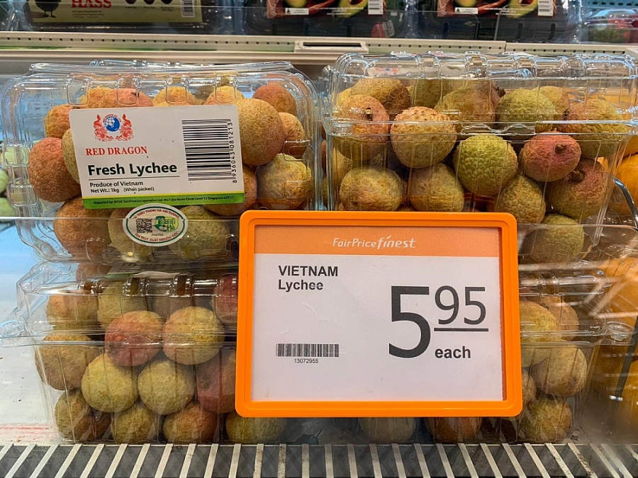 Les litchis vietnamiens renforcent leur présence à Singapour